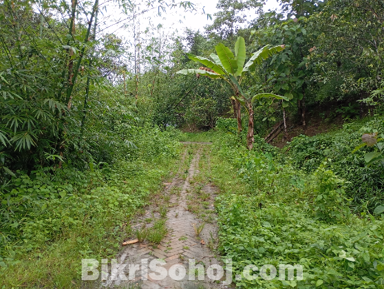 রিসোর্ট করার উপযোগী